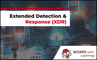 How XDR Works: From Detection to Automated Response | Wizard Cyber